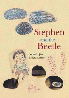 Book cover for Stephen and the Beetle