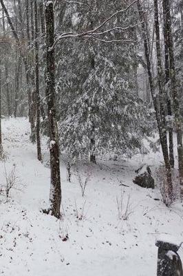 Book cover for Journal Winter Scene Evergreens Trees