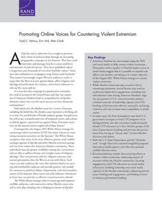 Book cover for Promoting Online Voices for Countering Violent Extremism