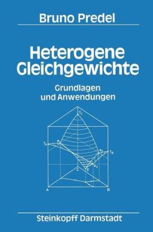 Cover of Heterogene Gleichgewichte