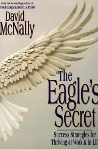 Cover of The Eagle's Secret