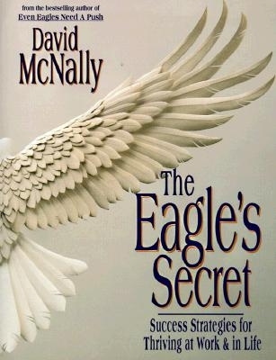 Book cover for The Eagle's Secret