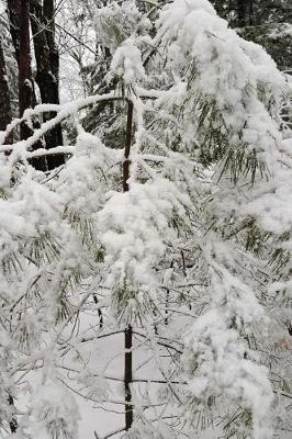 Cover of Beautiful Winter Day Photography Journal