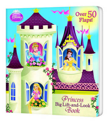 Book cover for Princess Big Lift-And-Look Book