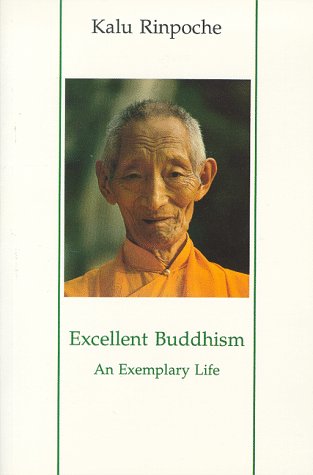 Book cover for Excellent Buddhism