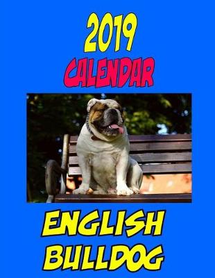 Book cover for 2019 Calendar English Bulldog