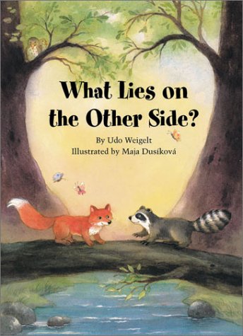 Book cover for What Lies on the Other Side?