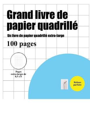 Book cover for Grand livre de papier quadrille (un pouce)