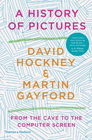 Cover of A History of Pictures
