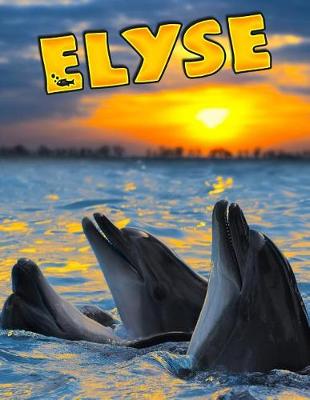 Book cover for Elyse