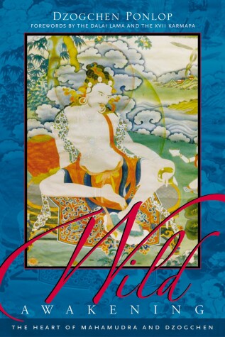 Book cover for Wild Awakening