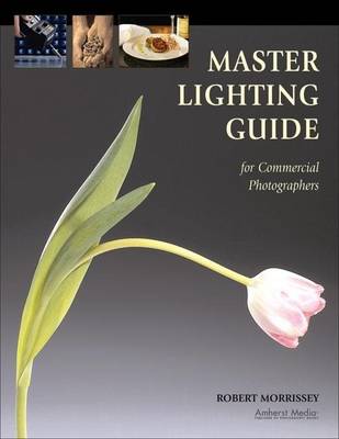 Book cover for Master Lighting Guide for Commercial Photographers