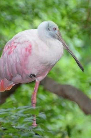 Cover of Pink Spatula Bird Journal