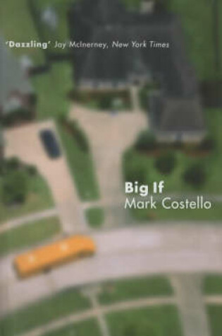 Cover of Big If