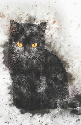 Book cover for 2019-2020 Academic Planner Weekly and Monthly Black Cat