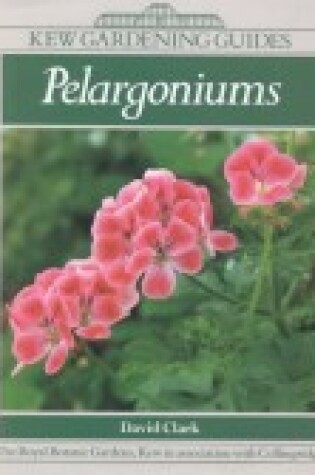 Cover of Pelargoniums