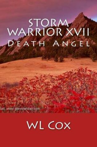 Cover of Storm Warrior XVII