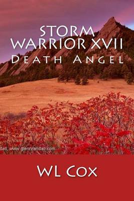Book cover for Storm Warrior XVII