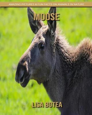 Book cover for Moose