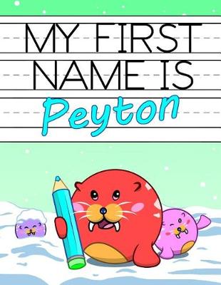 Book cover for My First Name Is Peyton