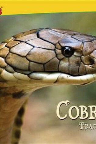 Cover of Cobras