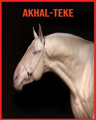 Book cover for Akhal-Teke