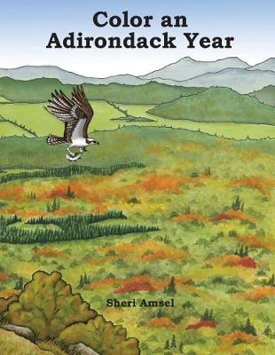 Book cover for Color an Adirondack Year