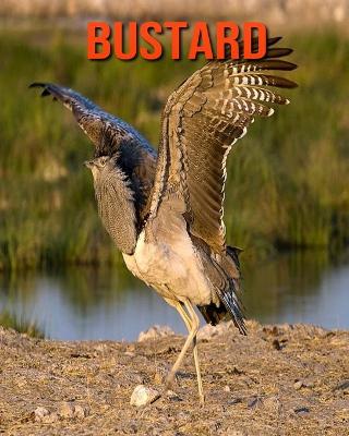Book cover for Bustard