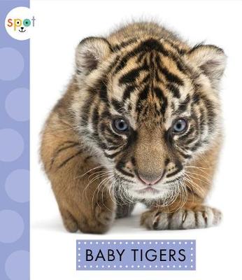 Cover of Baby Tigers