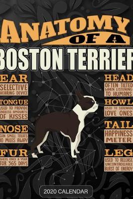 Book cover for Anatomy Of A Boston Terrier