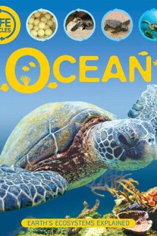 Cover of Life Cycles: Ocean