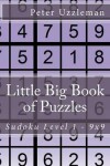Book cover for Little Big Book of Puzzles