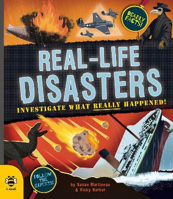 Book cover for Real-life Disasters