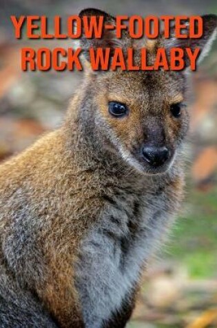 Cover of Yellow-Footed Rock Wallaby