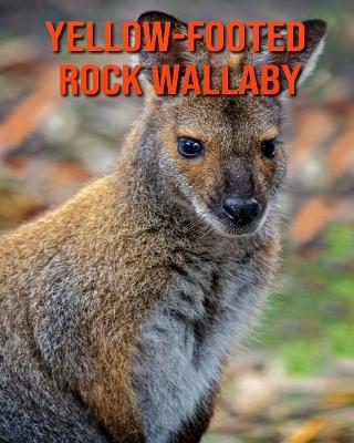 Cover of Yellow-Footed Rock Wallaby