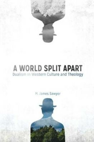 Cover of A World Split Apart