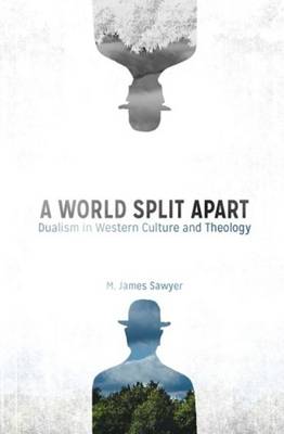 Book cover for A World Split Apart