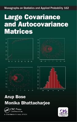 Book cover for Large Covariance and Autocovariance Matrices