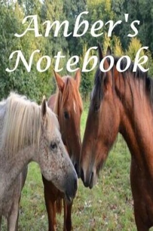 Cover of Amber's Notebook