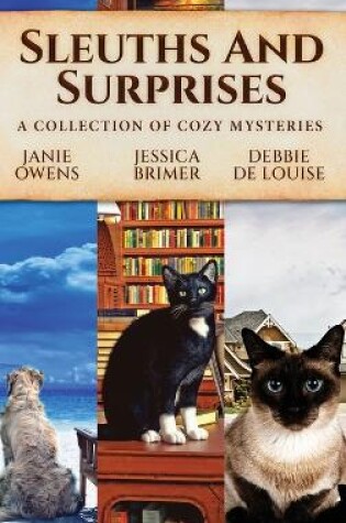 Cover of Sleuths and Surprises