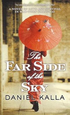 Cover of Far Side of the Sky