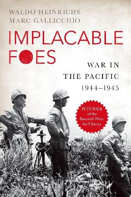 Book cover for Implacable Foes