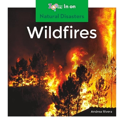 Book cover for Wildfires