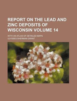 Book cover for Report on the Lead and Zinc Deposits of Wisconsin Volume 14; With an Atlas of Detailed Maps