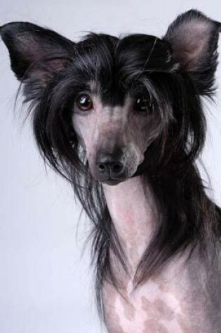 Cover of Black Chinese Crested Dog Portrait Journal