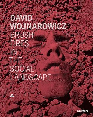 Book cover for David Wojnarowicz: Brush Fires in the Social Landscape (Signed Edition)