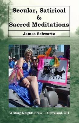 Book cover for Secular, Satirical & Sacred Meditations