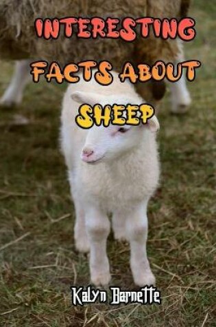 Cover of Interesting Facts about Sheep