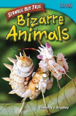 Book cover for Strange but True: Bizarre Animals