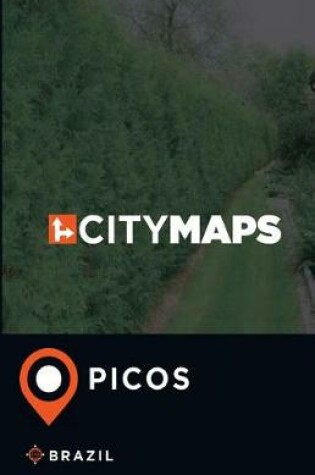 Cover of City Maps Picos Brazil